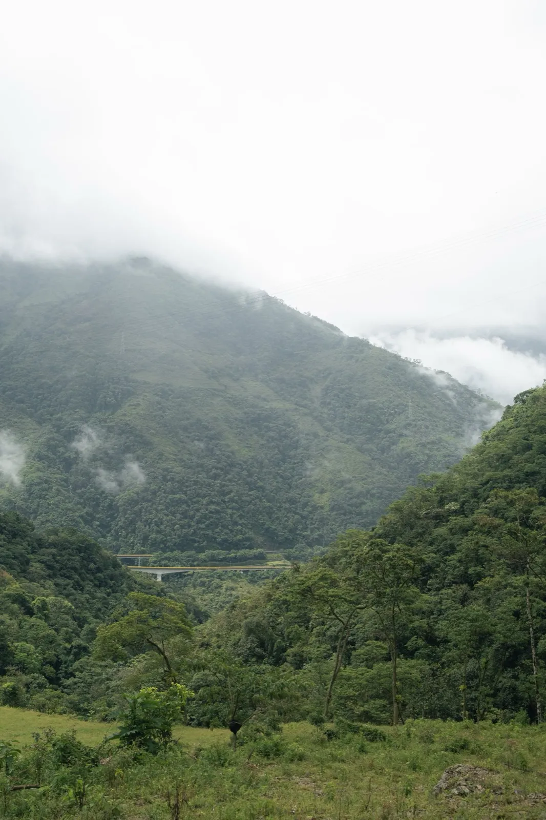 Fotografía del álbum Viaje por Colombia